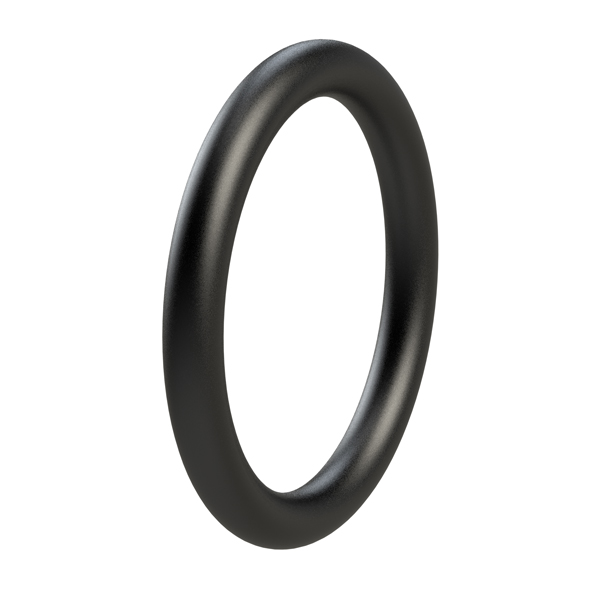 FKM O-RING 87x5 (Salt Container)